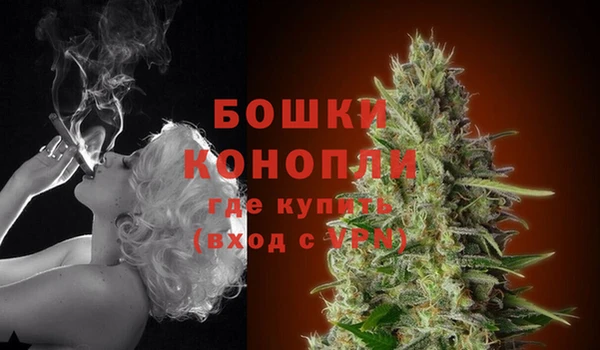 ПСИЛОЦИБИНОВЫЕ ГРИБЫ Киренск