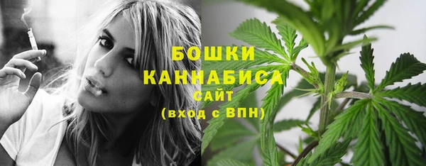 PSILOCYBIN Козельск
