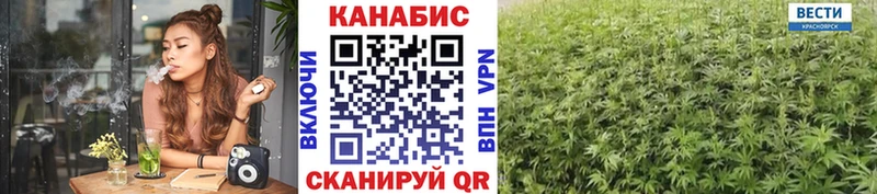 купить наркотик  ссылка на мегу как зайти  Бошки Шишки Ganja  Кола 